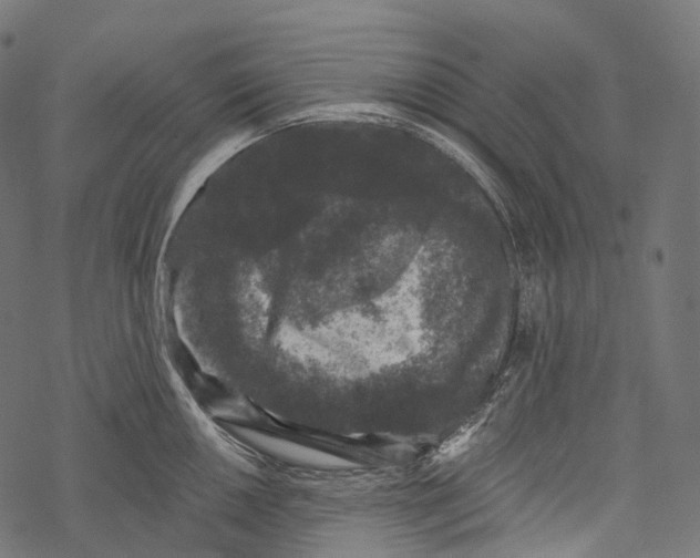 X0000067901050200605041613