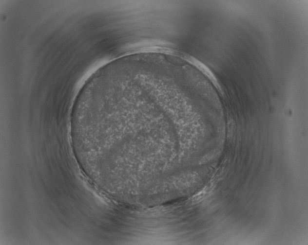 X0000067901051200605041613