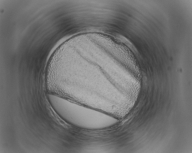 X0000067901052200605041613