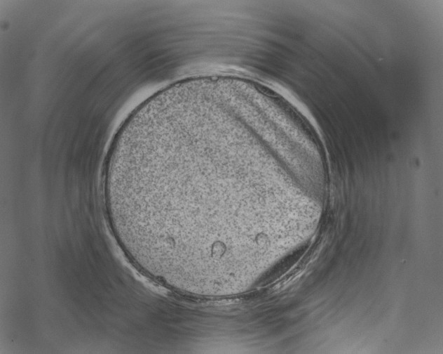 X0000067901053200605041613