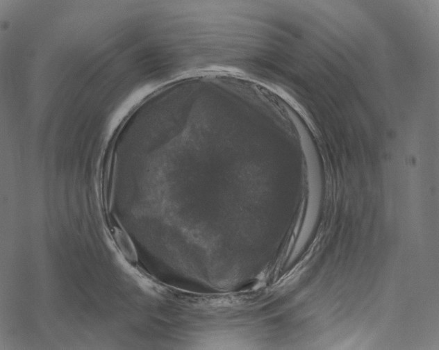 X0000067901054200605041613