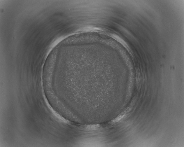 X0000067901055200605041613