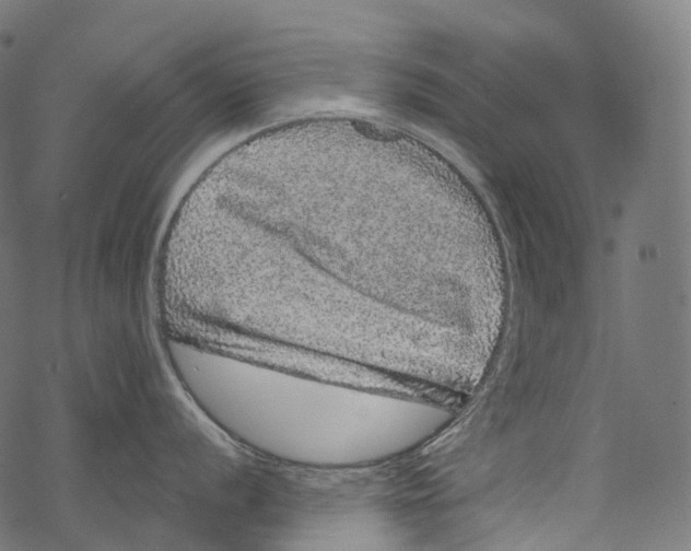 X0000067901056200605041613