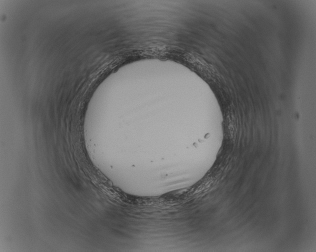 X0000067901057200605041612