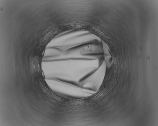 X0000067901058200605041612