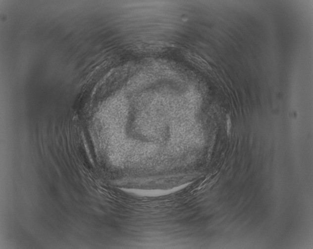 X0000067901059200605041612