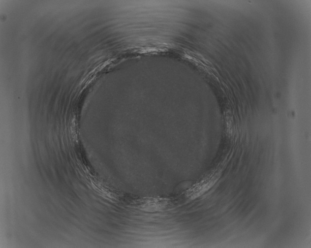 X0000067901060200605041612