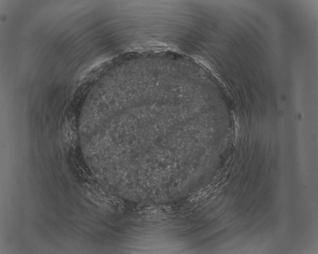 X0000067901063200605041612