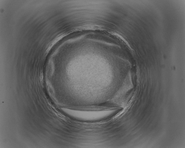 X0000067901065200605041612