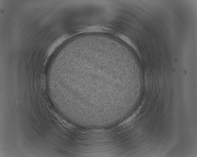 X0000067901067200605041612