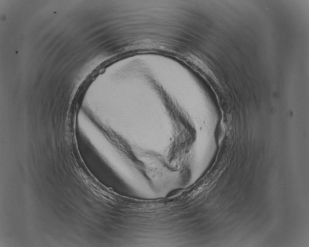 X0000067901068200605041612