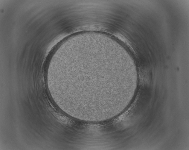 X0000067901070200605041612