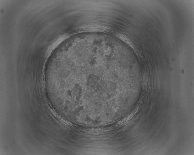 X0000067901071200605041612