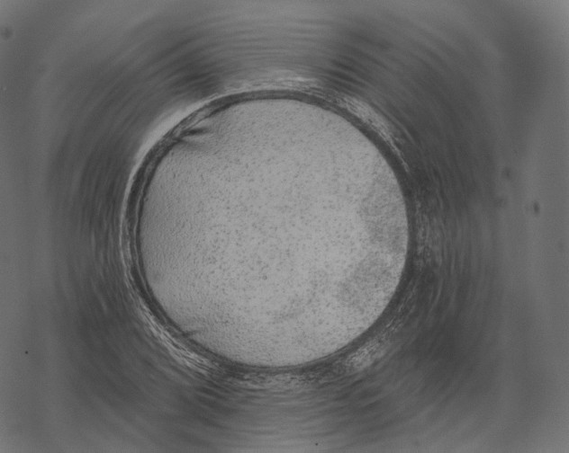 X0000067901072200605041612