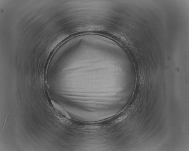 X0000067901073200605041612