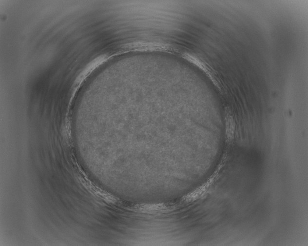 X0000067901074200605041612