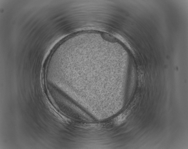 X0000067901076200605041612