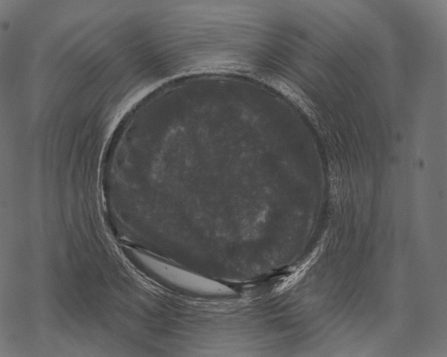 X0000067901077200605041612