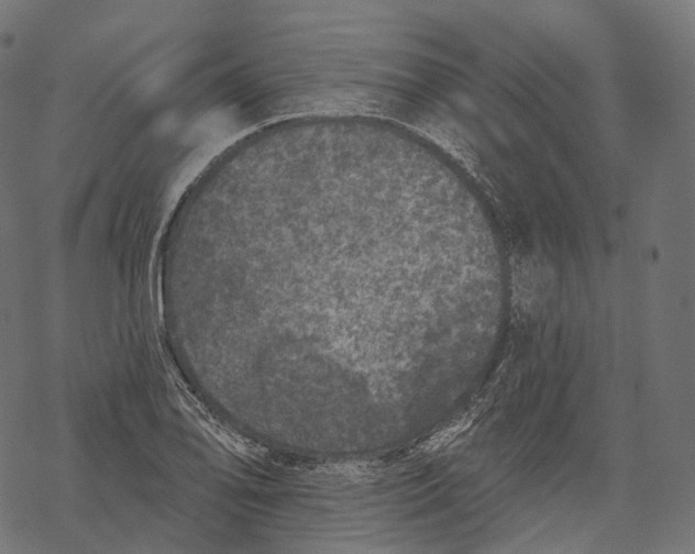 X0000067901078200605041612