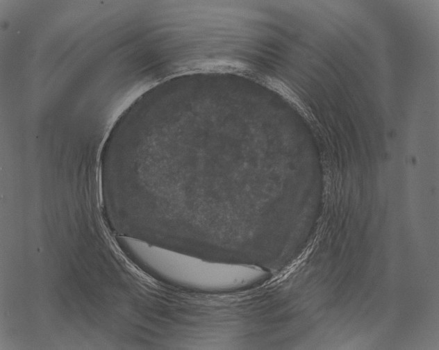 X0000067901079200605041612