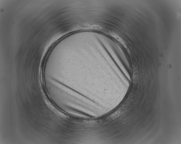 X0000067901080200605041612