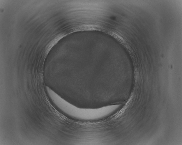 X0000067901081200605041612