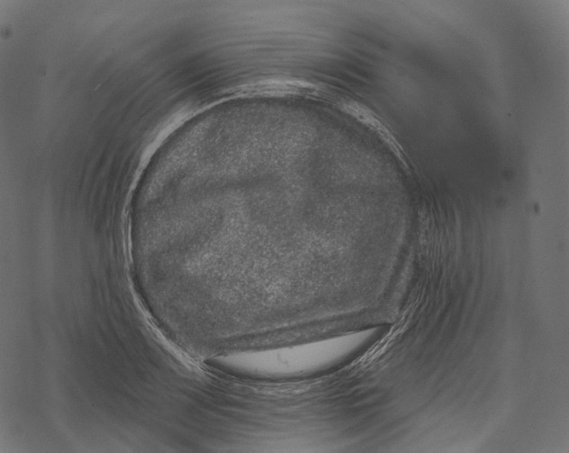 X0000067901083200605041612