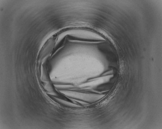 X0000067901085200605041612