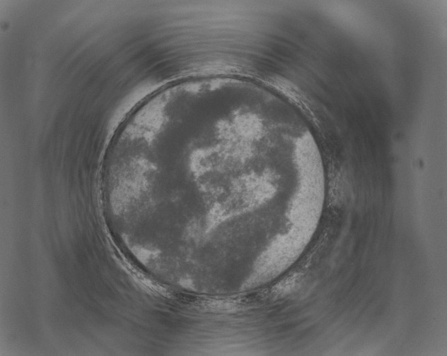 X0000067901086200605041612