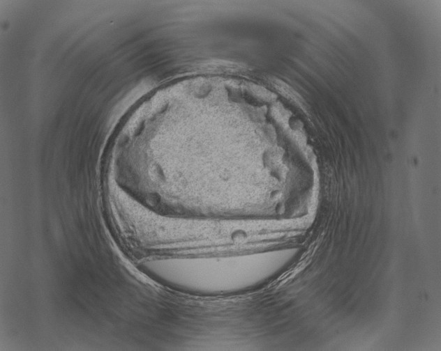 X0000067901087200605041612