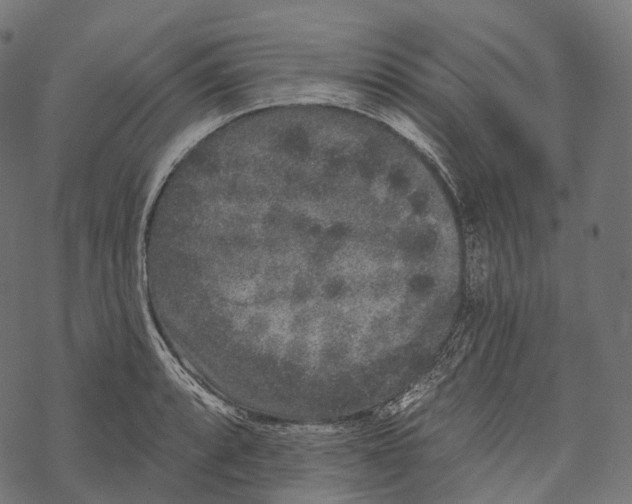 X0000067901088200605041612