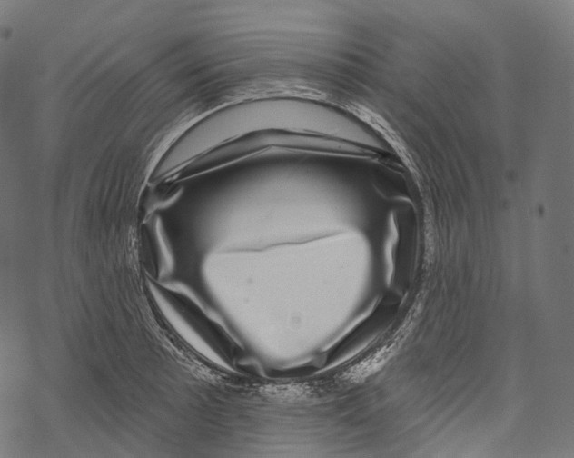 X0000067901089200605041611