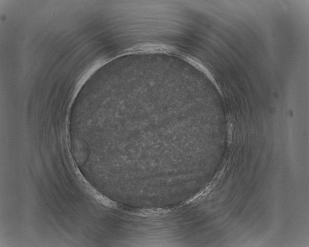 X0000067901091200605041611