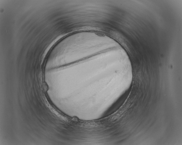 X0000067901092200605041611