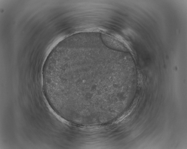 X0000067901095200605041611