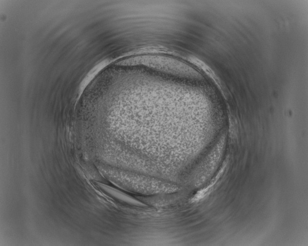 X0000067901097200605041611