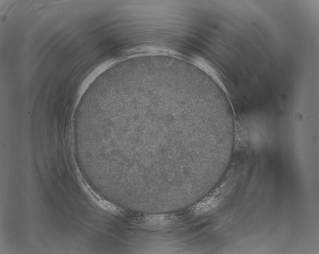 X0000067901098200605041611