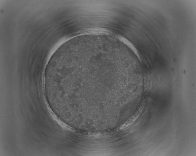 X0000067901099200605041611