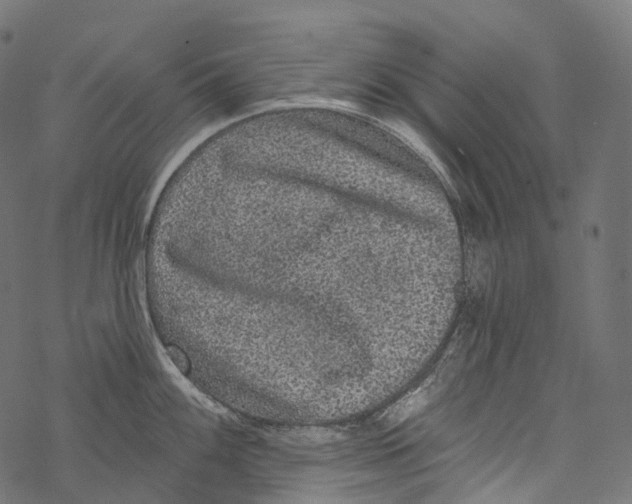 X0000067901100200605041611