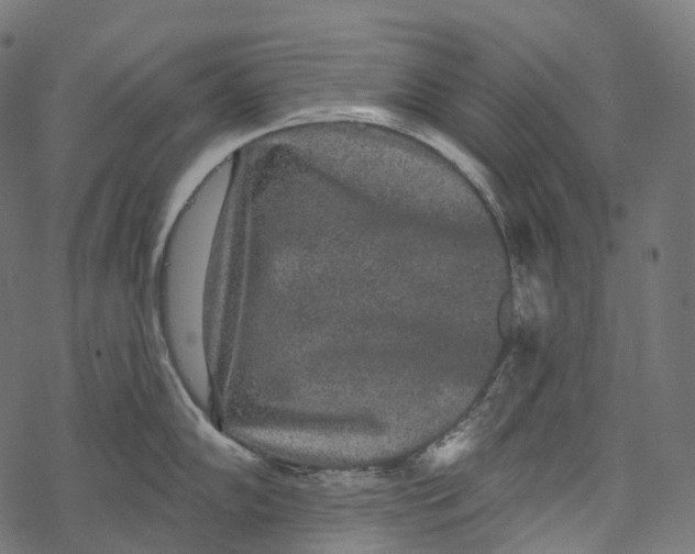 X0000067901102200605041611