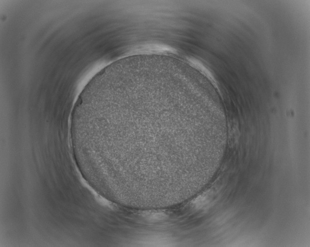 X0000067901103200605041611