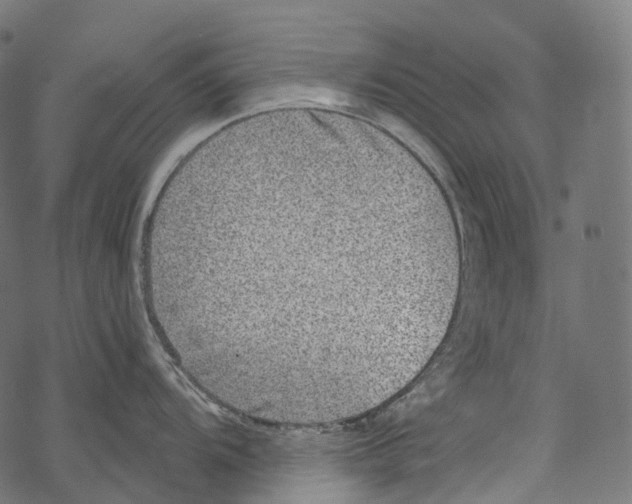 X0000067901104200605041611