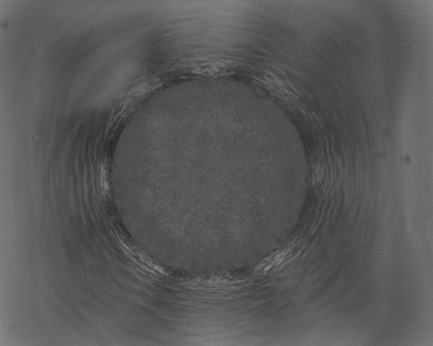 X0000067901106200605041610