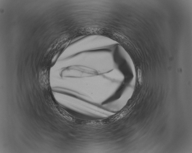 X0000067901107200605041610