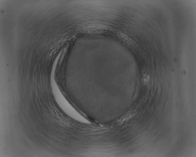 X0000067901108200605041610