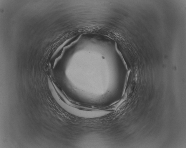 X0000067901109200605041610