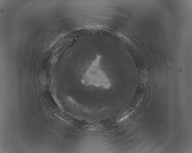 X0000067901110200605041611