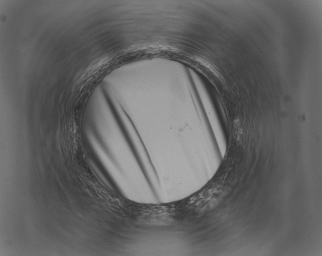 X0000067901111200605041611