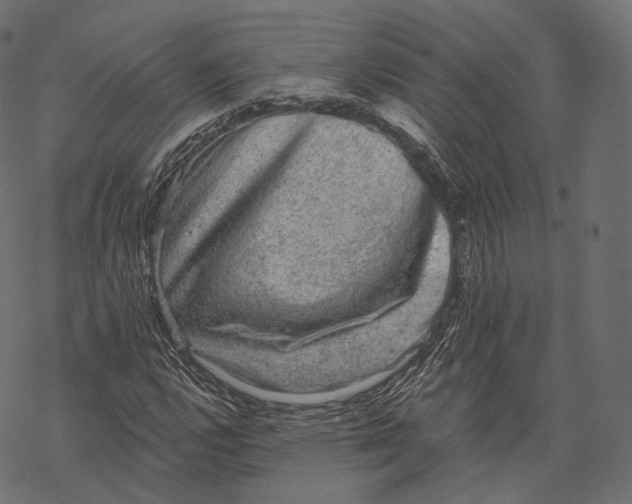 X0000067901112200605041611