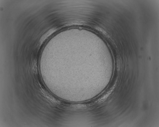 X0000067901113200605041611